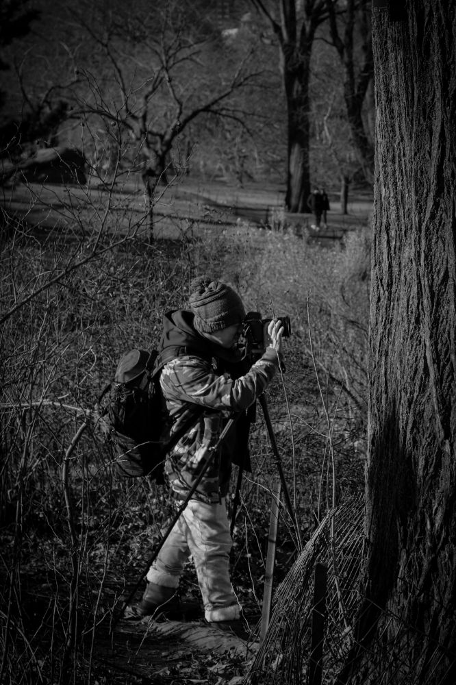 Mono image shows a photographer in full camo jacket, cargo pants and beanie hat, standing with a camera and tripod setup, facing to the right. They are in a bush, off the pathway in a park, lining up a shot and stood behind a tree