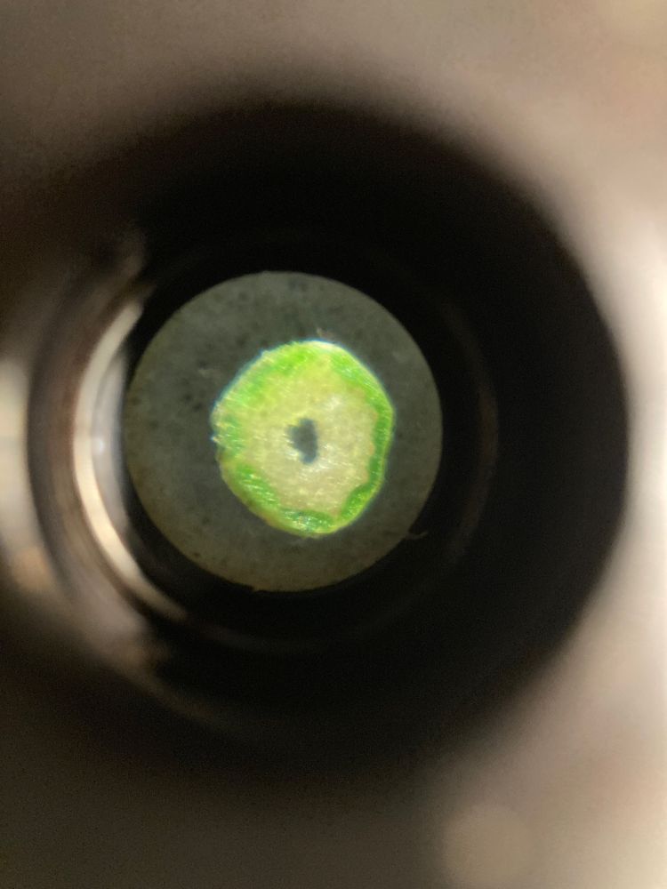 Magnified view of the dandelion stem slice when it was hydrated, showing vibrant greens in coloration.