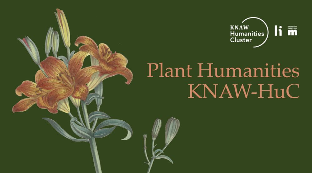 Banner image for the Plant Humanities KNAW-Huc, featuring an orange daylily in front of a green background. 