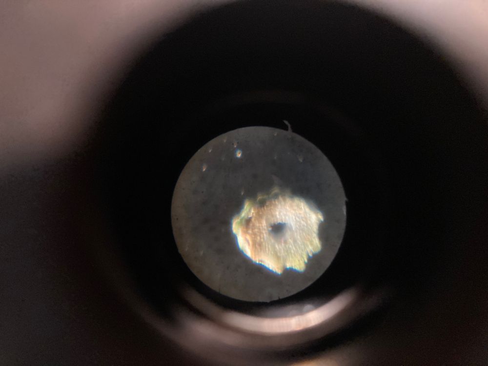 Magnified view of the dandelion stem slice when it was almost dried, becoming more shriveled in form and brown in coloration.