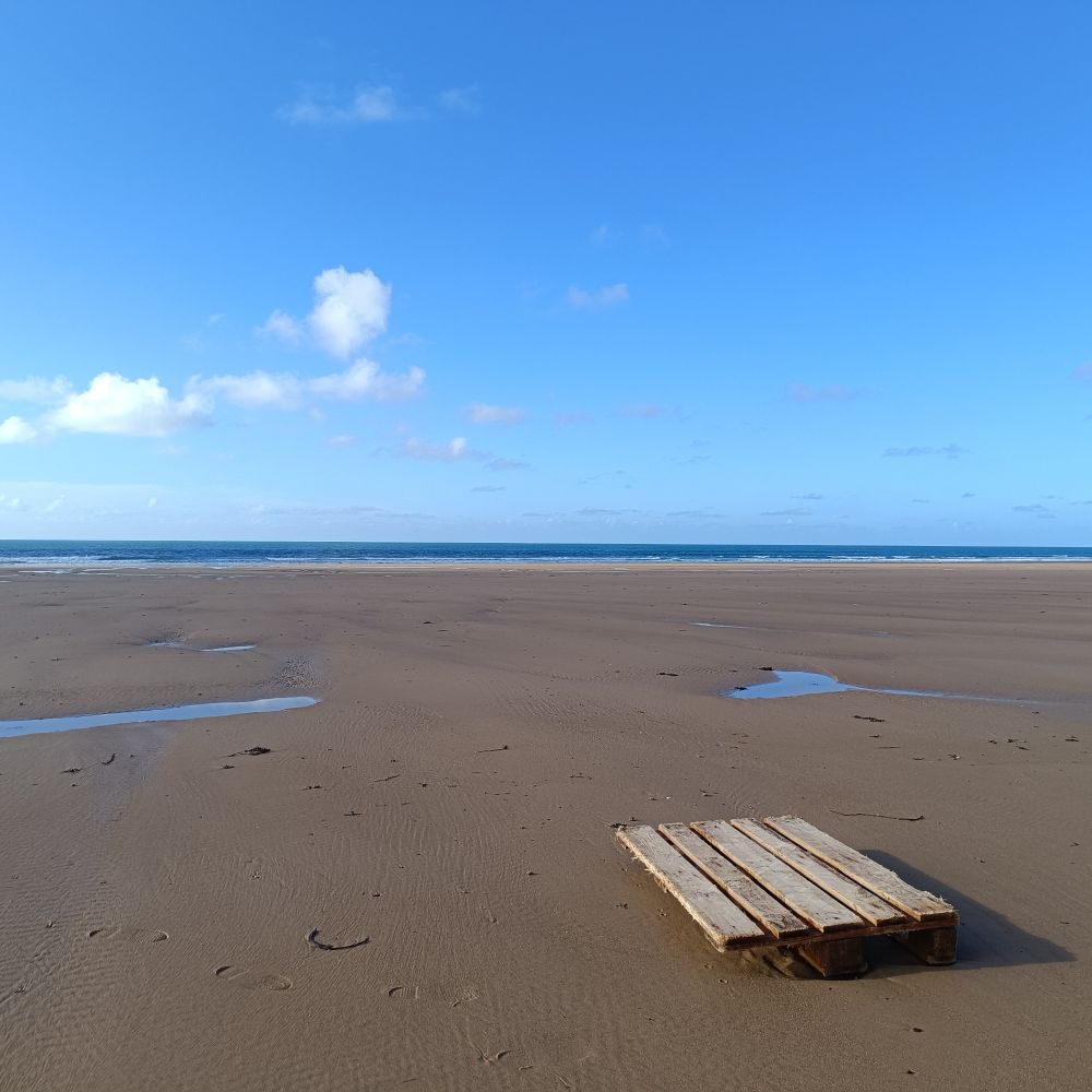 Une palette charriée par la marée sur une plage de sable déserte. 