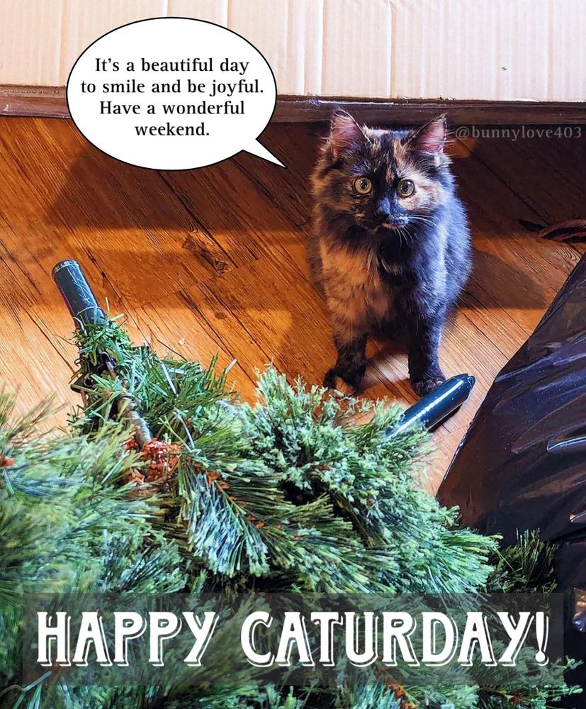It’s a beautiful to smile and be joyful.
Have a wonderful weekend. Happy Caturday!