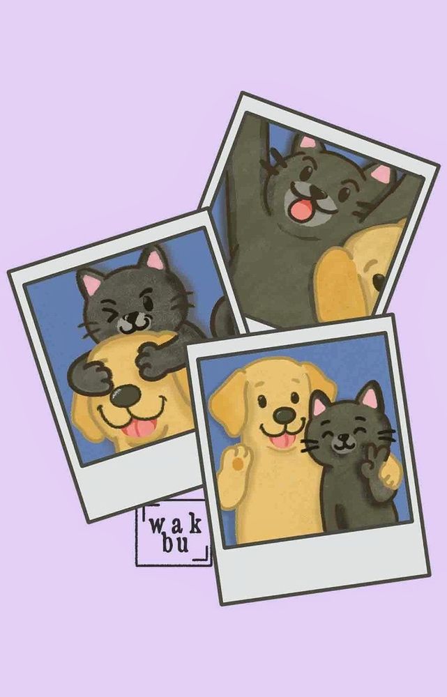 drawing of three polaroid style photos of a cat and a dog who are good friends