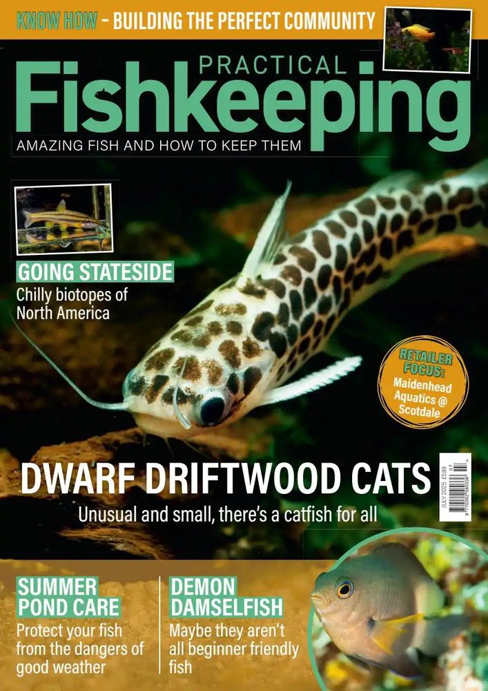 Cover of Practical Fishkeeping July edition.