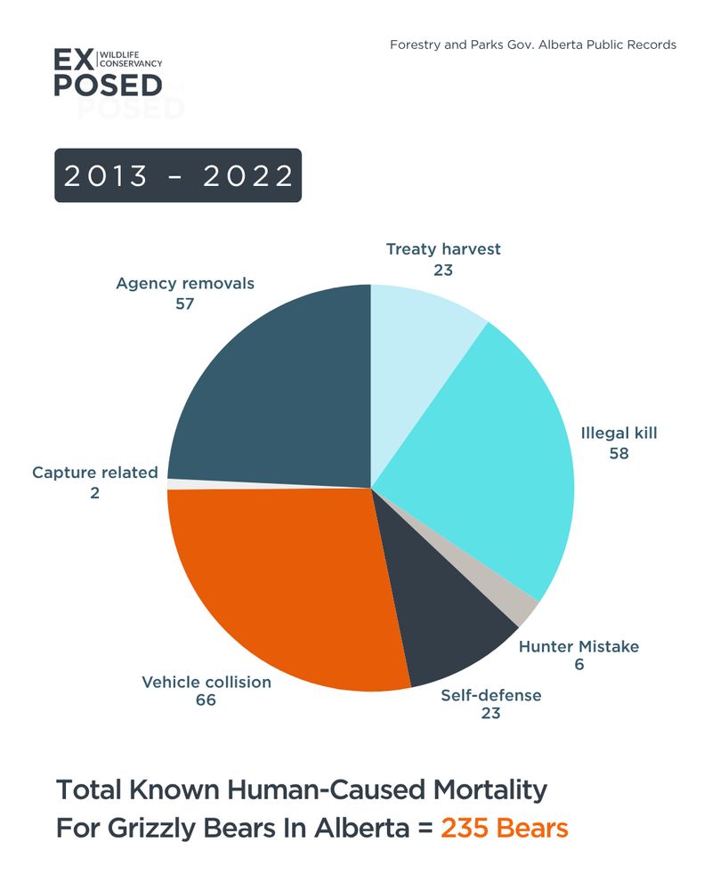 A pie chart showing known human caused mortality for Grizzly Bears in Alberta. 253 total deaths: 23 Treaty Harvest, 58 Illegal Kills, 6 Hunter Mistakes, 23 Self-Defence, 66 Vehicle Collisions, 2 Capture-Related, 57 Agency Removals. 