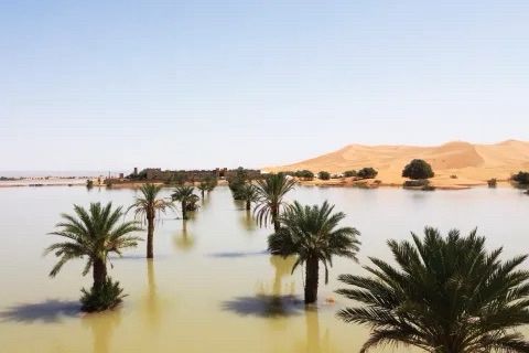 Inondation dans le désert marocain