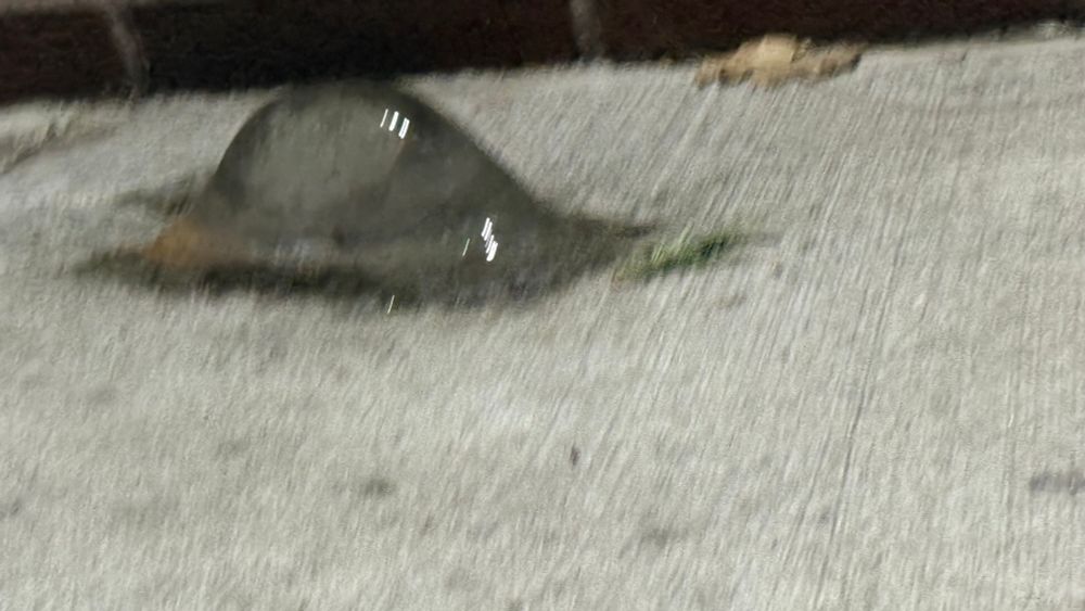 A 7 inch high and wide lump of ice formed from the ground up by condensation coming out of the steam pipes from my building. 