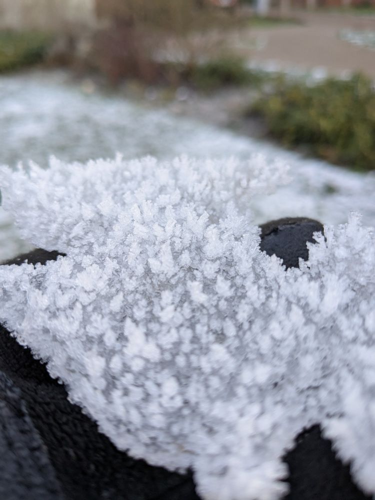 Attempt to get a close up of small ice towers on a sheet of ice