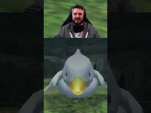 A best friend? | #therealwarbeard on #Twitch