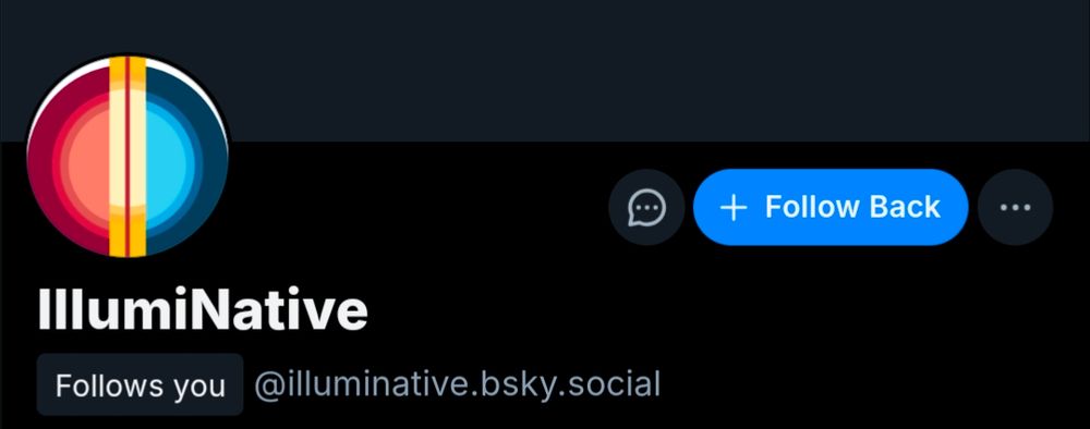 screenshot showing illuminative follows this account 