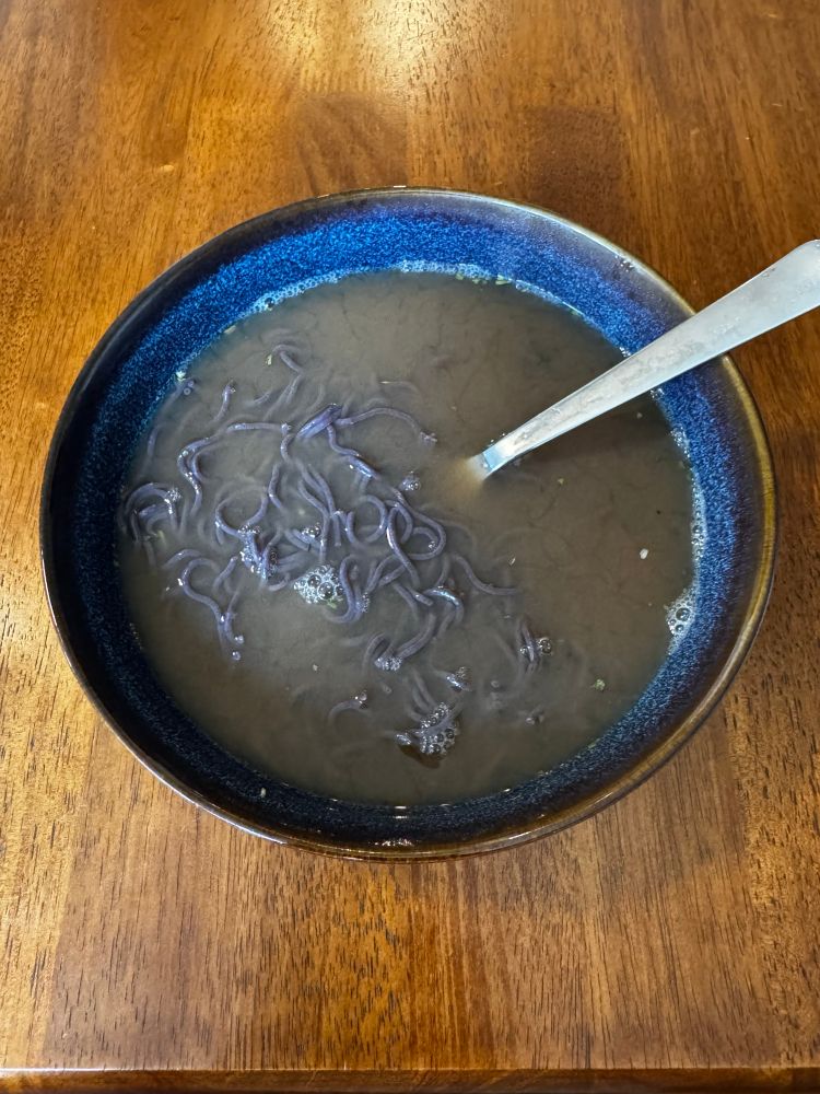 purple rice noodle ramen (tastier than it looks)
