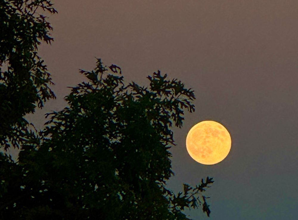 In the fading light of sunset the full moon, huge and tinted orange, rises in the sky 