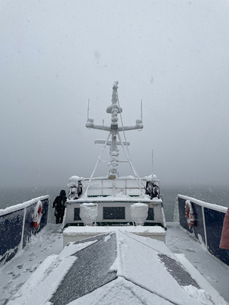 Looking toward the fore side of the deck of the Arctic Rose, snowy, daytime.