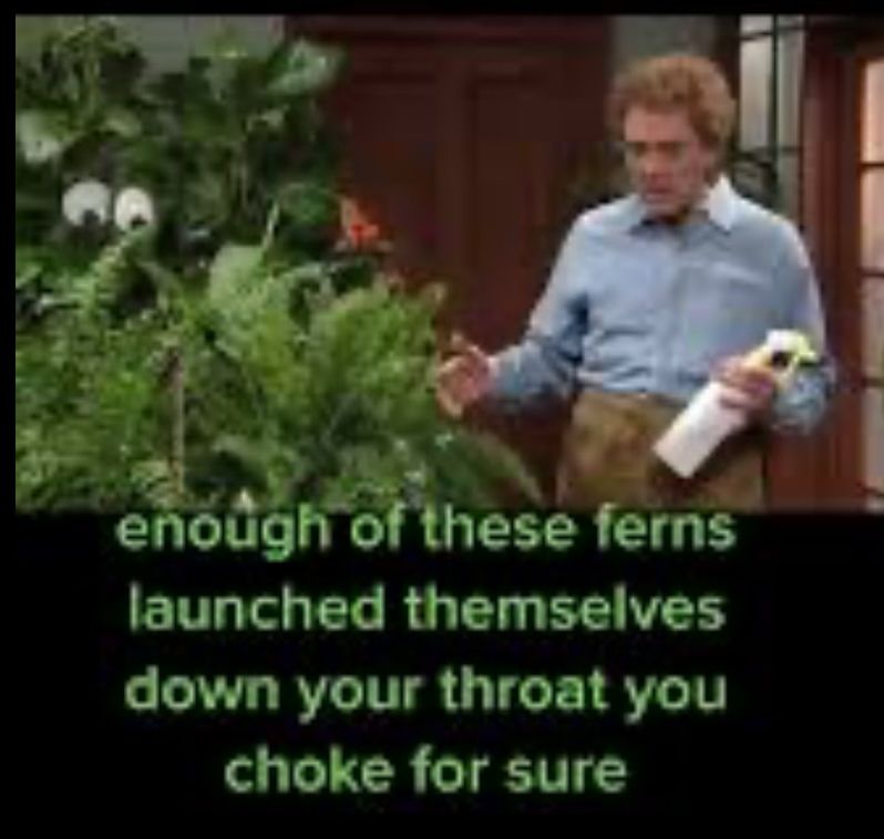Image of Christopher Walken from the SNL sketch about the man who is afraid of his plants. The text reads “enough of these ferns launched themselves down your throat you choke for sure.”