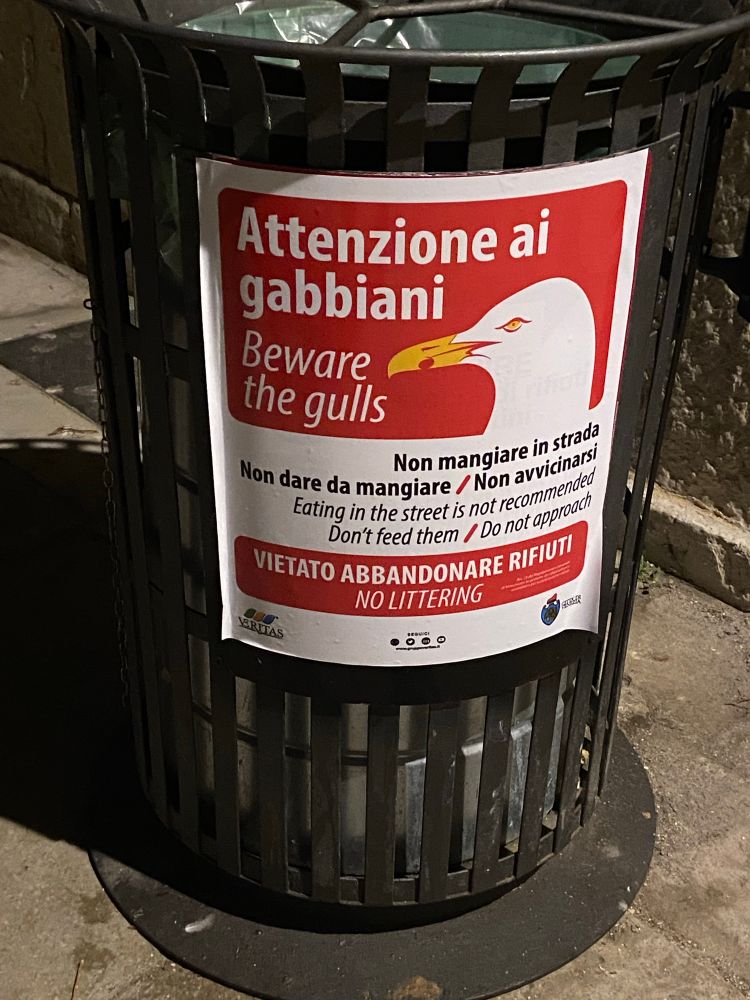 Sign on trash can in Italian and English that says “Beware the gulls.”  There’s a picture of a fierce-looking gull, and a warning not to feed or approach the gulls.