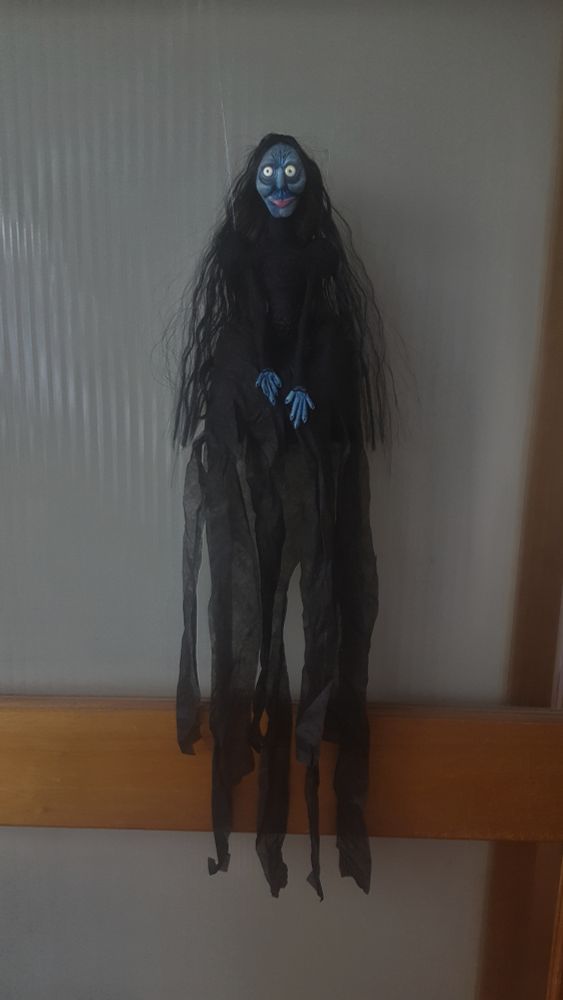 Creepy doll hanging on a glass door, with a long black dress in tatters.
