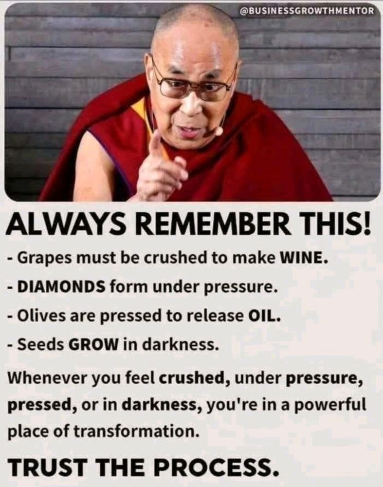 The Dalai Lama giving hustle grindset advice. LinkedIn must be destroyed.