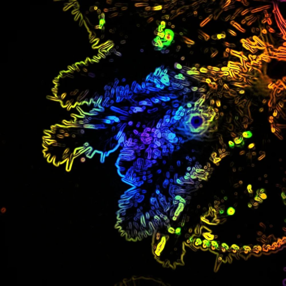 Christmas tree with filter