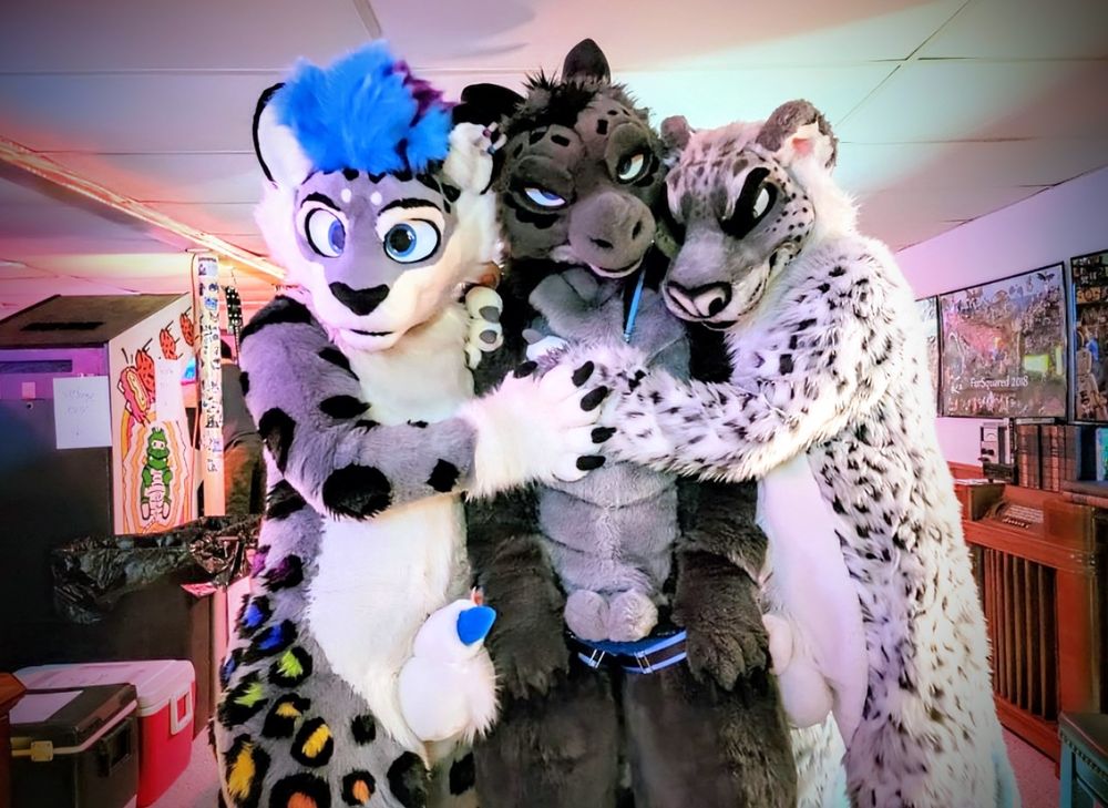 Predicta the dragon and two snow leopards in fursuit, with soft sheaths out and paws on Predicta