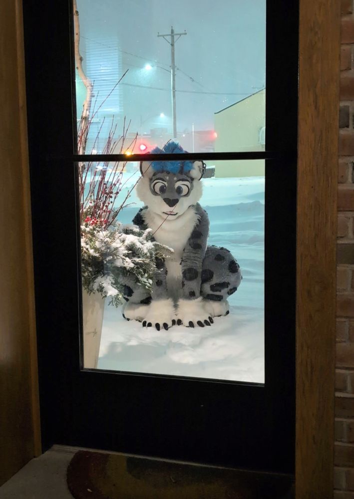 Silver, in fursuit, perched outside in the snow, looking through the door