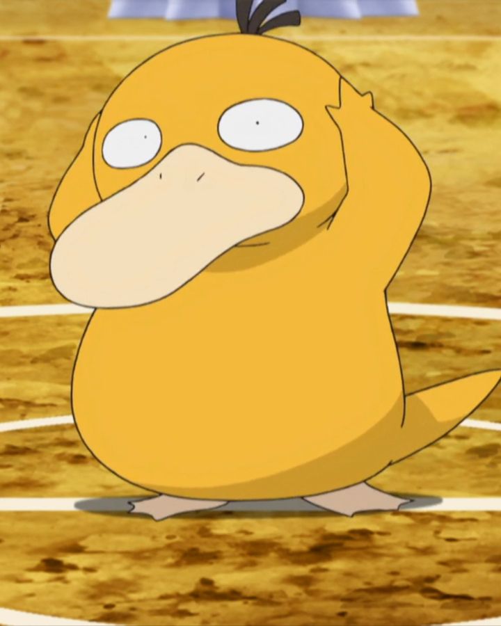Psyduck!