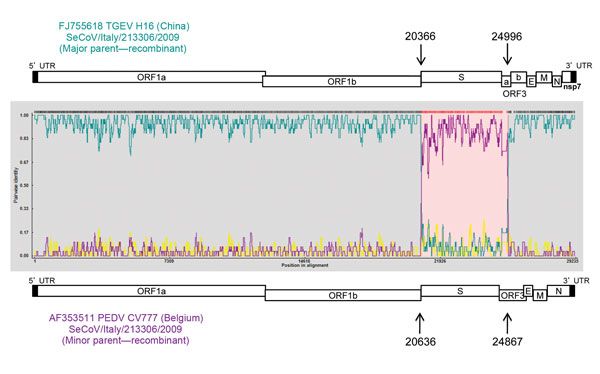 SeCoV/Italy/213306/2009 showing the parent genomes it recombined from & the associated breakpoints: nearly perfectly tracking Spike.