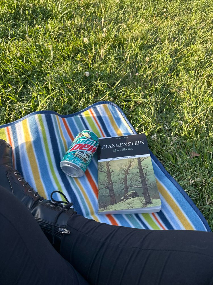 Me sitting in the park on a colorful picnic blanket, reading Frankenstein by Mary Shelly with a can of Baja Blast 