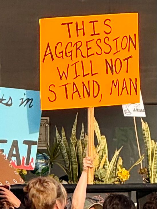 Protest sign: this aggression will not stand, man