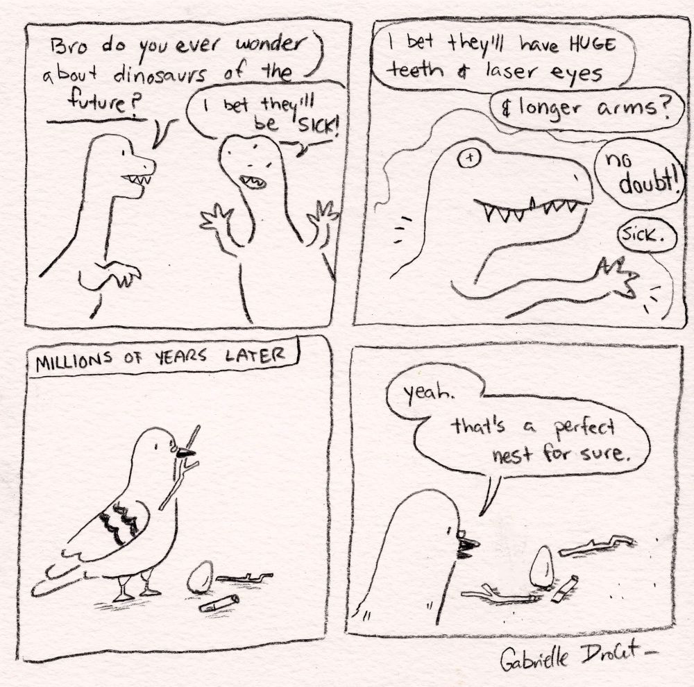 four panel comic. Two dinosaurs wonder what future generations of dinosaurs will look like, saying they’ll probably have huge teeth and longer arms and laser eyes. Cut to the humble pigeon millions of heats later. She looks down at her egg surrounded by two twigs and a cigarette butt and says “yeah. That’s a perfect nest for sure”