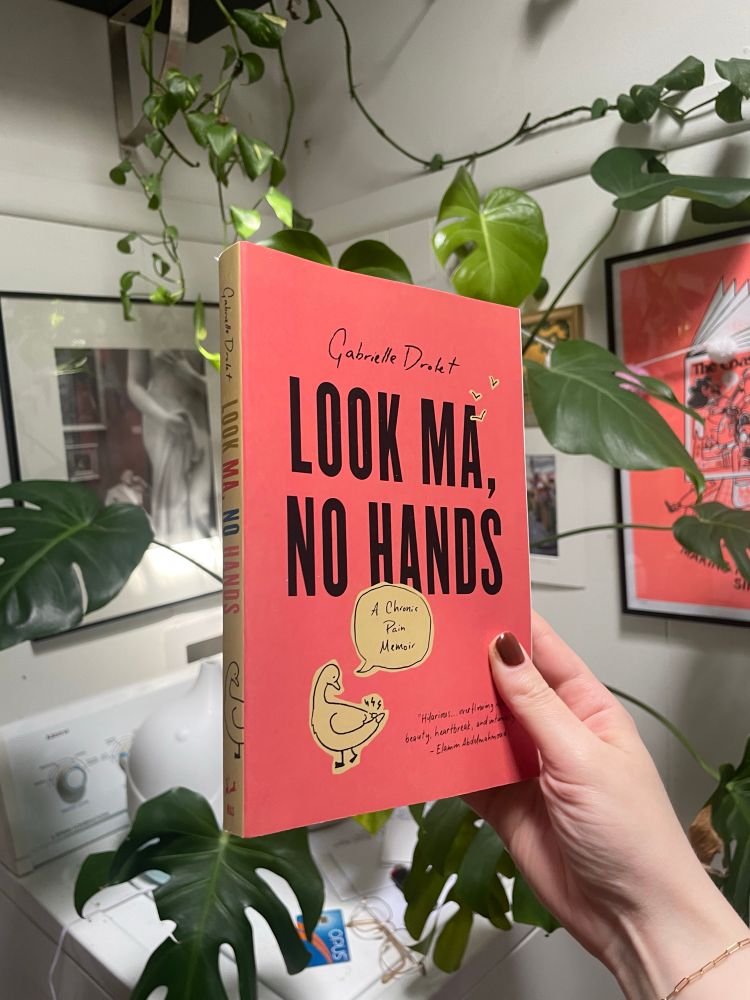 Another photo of the book cover 