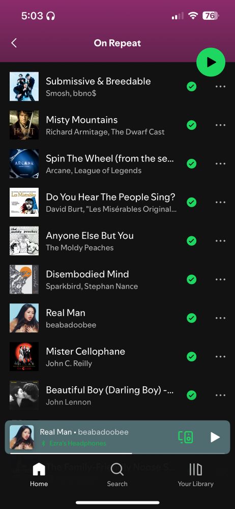 A screenshot of an “On Repeat” playlist from Spotify. The songs in order go 
“Submissive and Breedable” by Smosh and BBno$
“Misty Mountains” from the Lord of the Rings
“Spin the Wheel” from Arcane season two
“Do You Hear the People Sing?” From Les Miserables
“Anyone Else but You” by the Moldy Peaches
“Disembodied Mind” by Sparkbird and Stephan Nance
“Real Man” by beabadoobee
“Mister Cellophane” from Chicago the Musical
“Beautiful Boy” by John Lennon