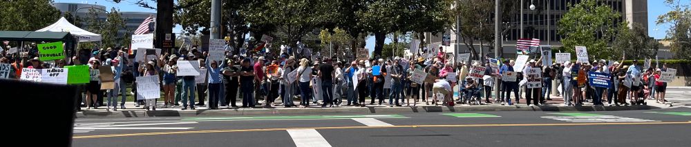 Crowd at a Hands Off protest