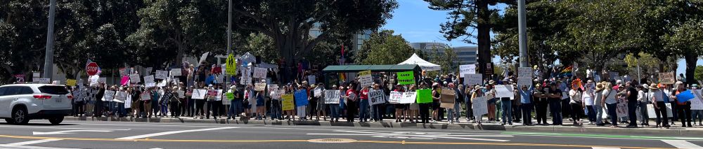 Crowd at a Hands Off protest