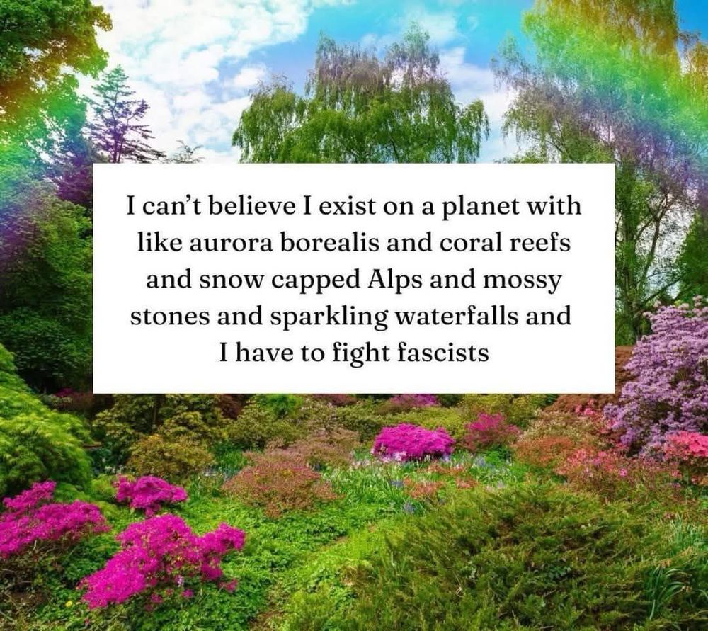 “I can’t believe I exist on a planet with like aurora borealis and coral reefs and snow capped Alps and mossy stones and sparkling waterfalls and I have to fight fascists”