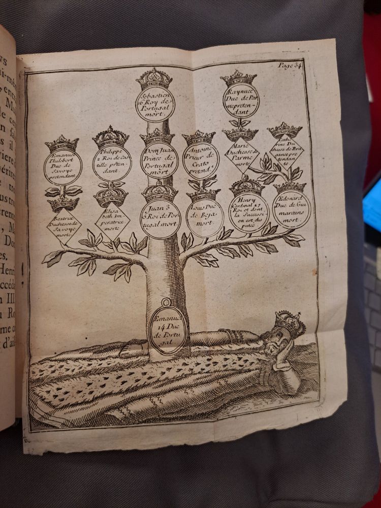 Image taken from a book on the Revolutions of Portugal of an engraving of the royal family tree. The figure of Emanuel is dressed in royal regalia and laid down with his head coquettishly propped in his hand. The rest of the family tree, drawn as a tree with branches emerges from the middle of his robes in an unsubtle and very phallic way
