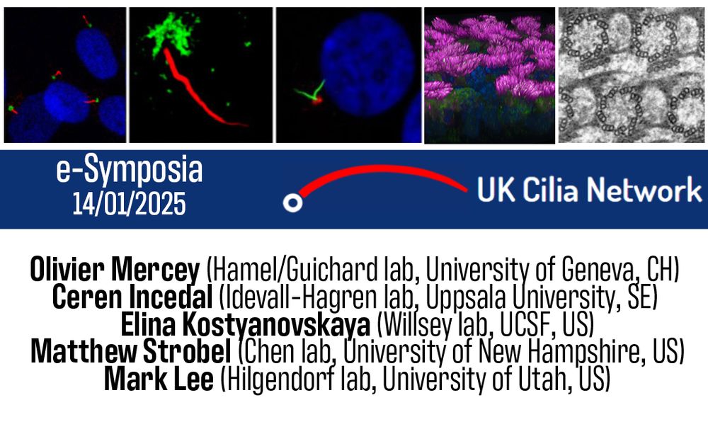 Advert for the e-symposium with list of speaker, affiliations and imagegs of cilia and centrioles.