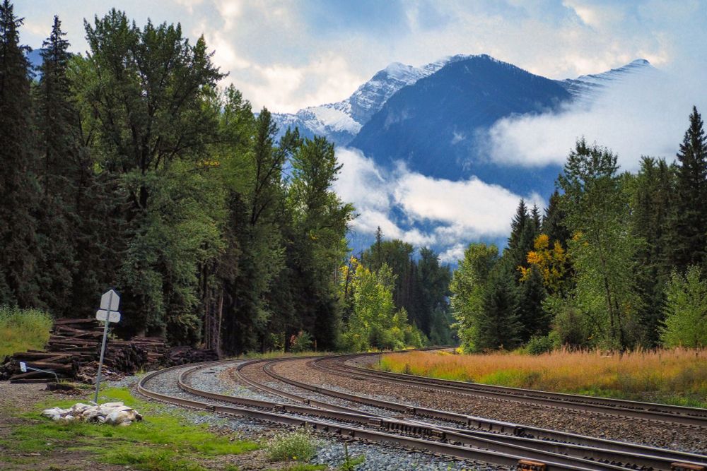 Railway tracks make a sweeping righthand curve through the forest.  In the background are mountains shrouded in clouds. 