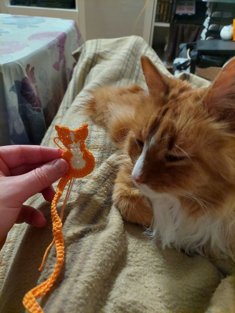 Vincent, an orange semi-long-haired tabby cat, laying on a blanket on my lap, looking past the camera. Next to him, I am holding an orange and white crochet bookmark, shaped like a cat with a very long tail.