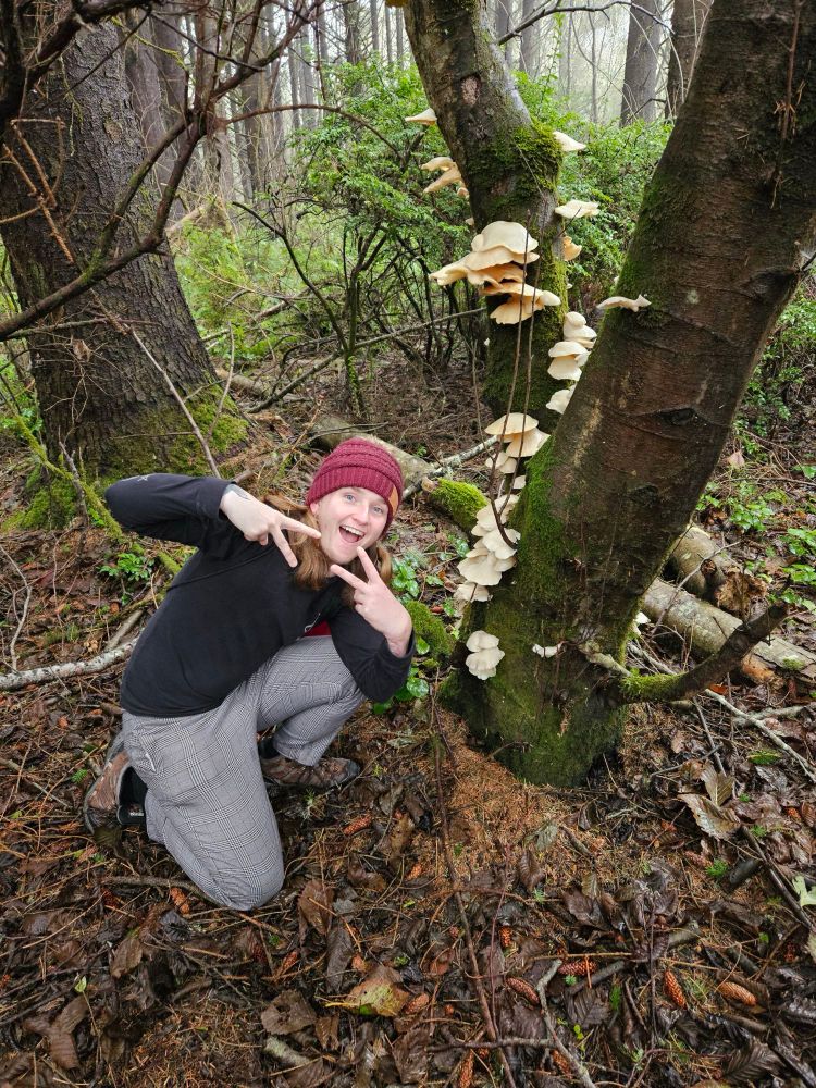 The poster, ecstatic, poses in front of a rotting alder bearing Pale Oyster mushrooms.
