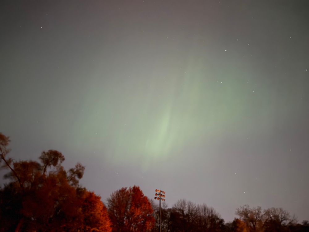 A green blur of aurora steaks over a baseball field light and trees.