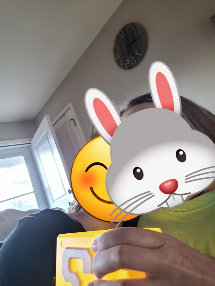 Me and Lisa(I'm the smiling emoji on the left and Lisa's the bunny on the right. She got the Mario Mystery block as a gift.