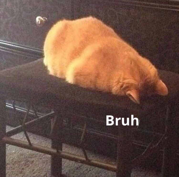 cat laying face down with text that says bruh