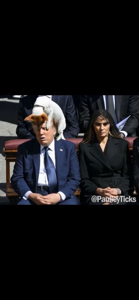 Comment image
