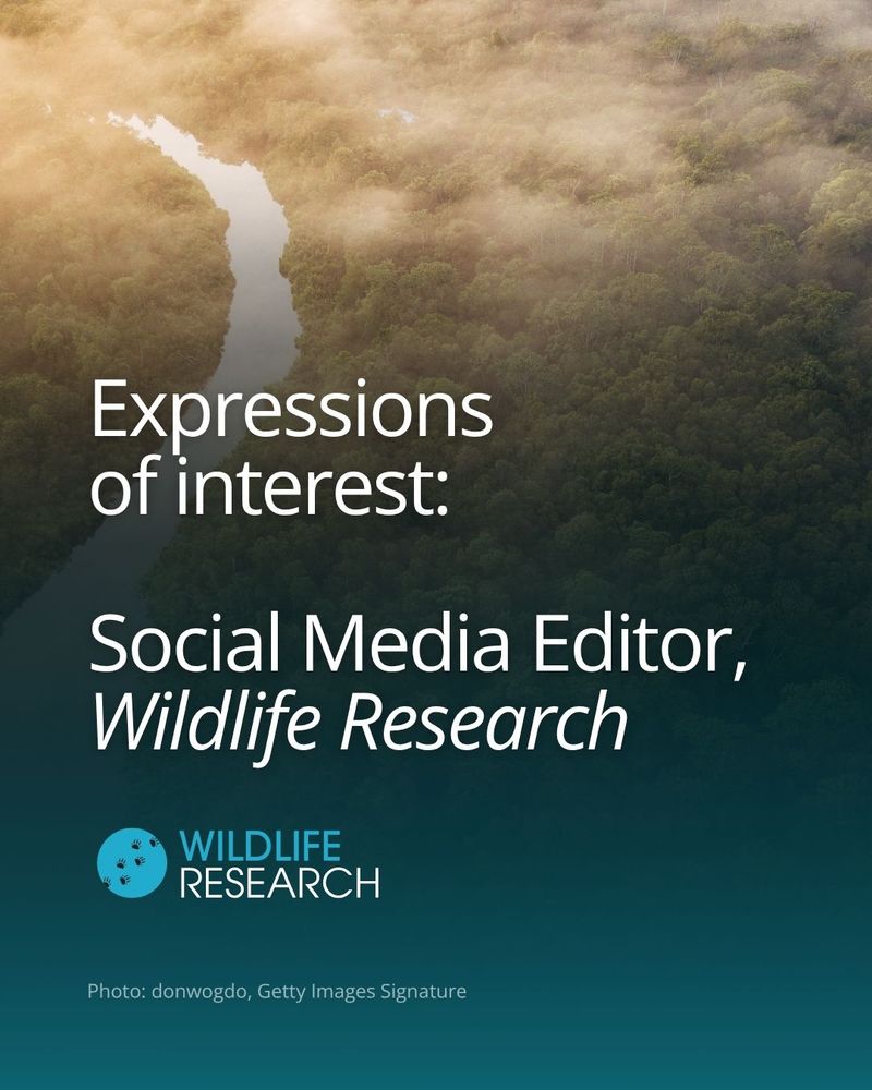 An aerial photograph of a river running through a dense forest in Borneo. Text reads: Expressions of interest: Social Media Editor, Wildlife Research" and below that we see the logo of the journal Wildlife Research. The photo is by donwogdo, Getty Images Signature.