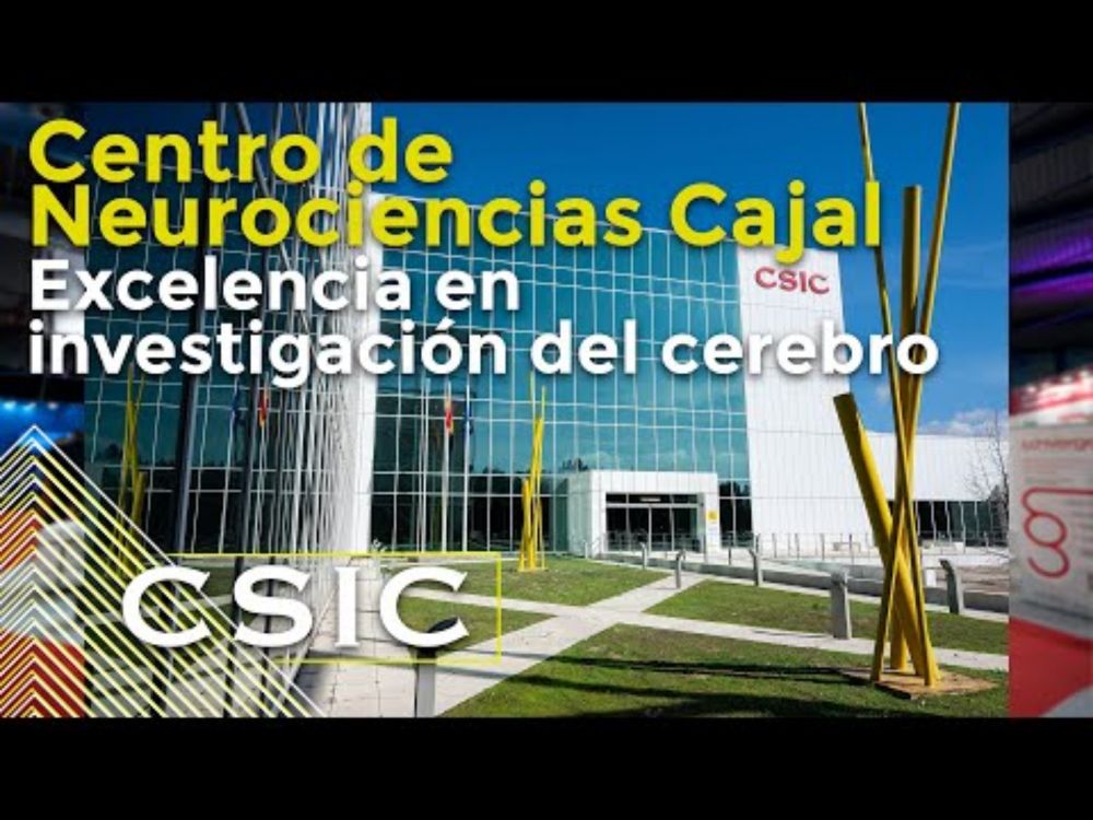 Nace el Centro de Neurociencias Cajal: la excelencia de la investigación del cerebro en España