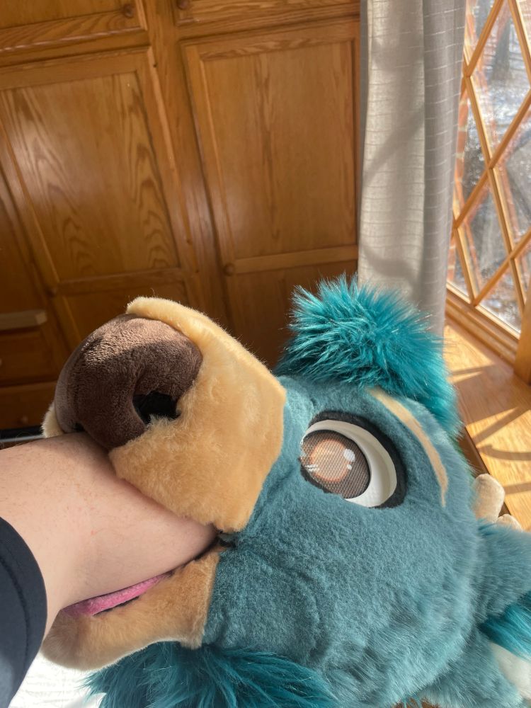 An arm shoved almost up to the elbow into a deer fursuit head’s mouth