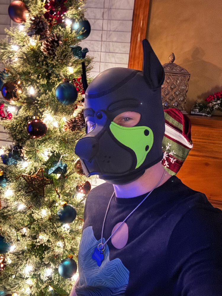 Green pup hood next to a Christmas tree