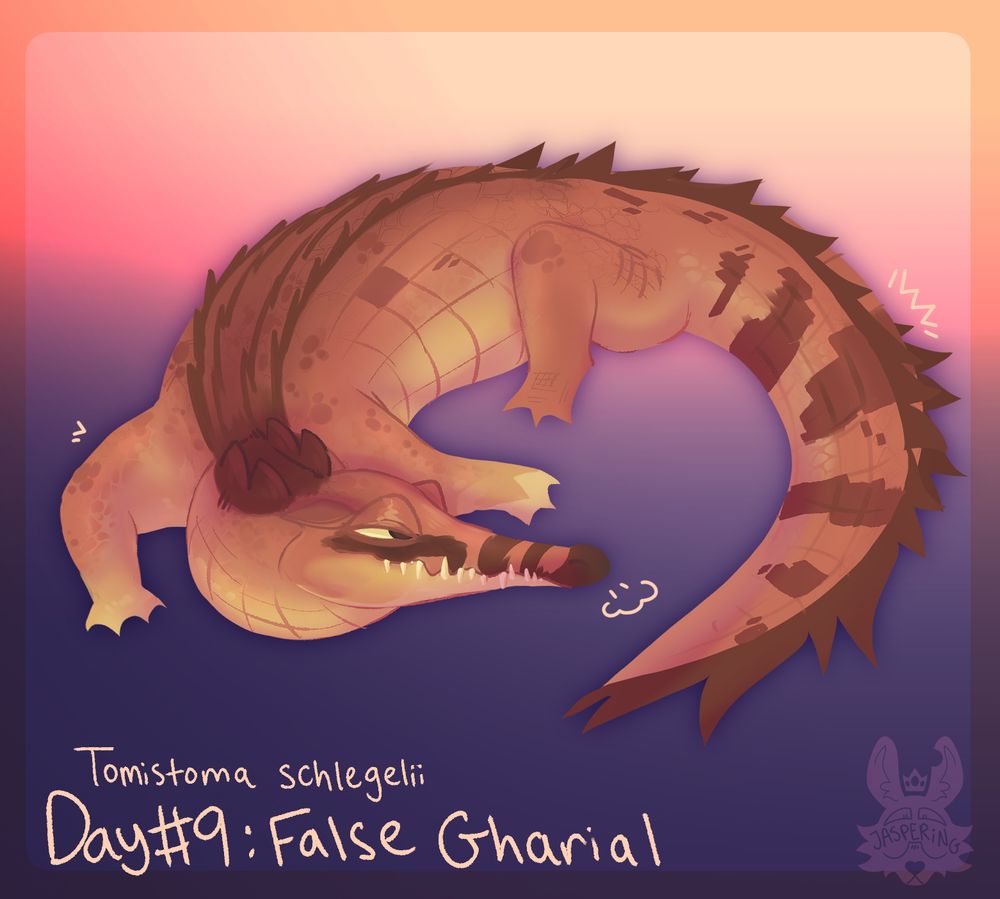 Tomistoma
