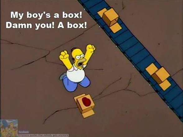 Simpsons screenshot of Homer yelling “My boy’s a box! Damn you! A box!”