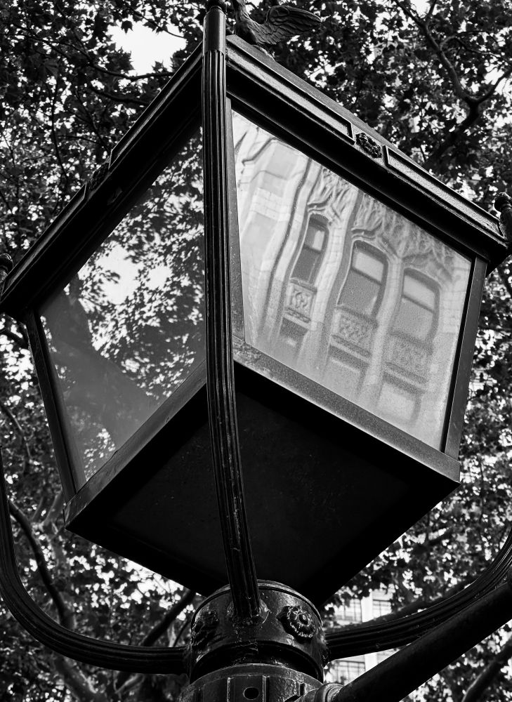 Reflections in a glass cover of a street lamp. One side has trees and the other has buildings 